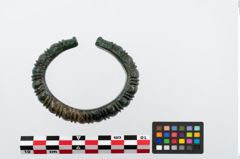 Foto von Bronzearmreif (NHMW-PRAE-024532)